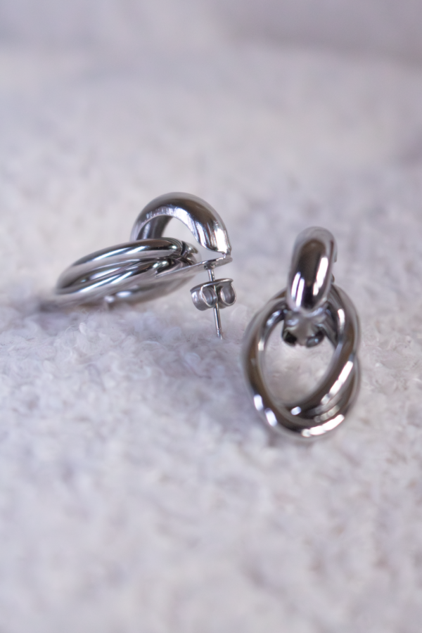 IMG_6629 Silver